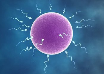Учеными найдена единственная угроза для мужского бесплодия